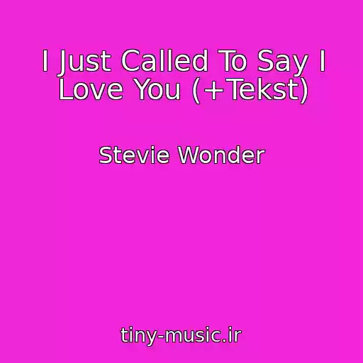کاور آهنگ I Just Called To Say I Love You (+Tekst) از Stevie Wonder