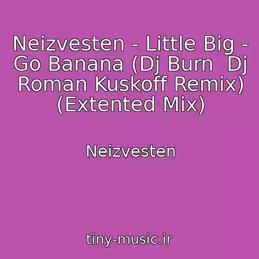 کاور آهنگ Neizvesten - Little Big - Go Banana (Dj Burn  Dj Roman Kuskoff Remix) (Extented Mix) از Neizvesten
