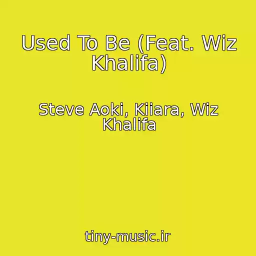 کاور آهنگ Used To Be (Feat. Wiz Khalifa) از Steve Aoki, Kiiara, Wiz Khalifa