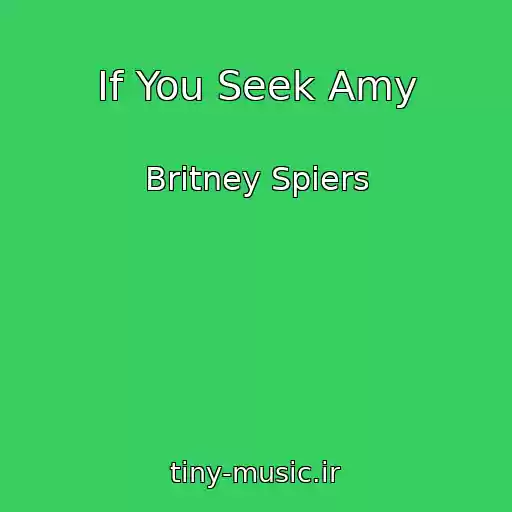 کاور آهنگ If You Seek Amy از Britney Spiers
