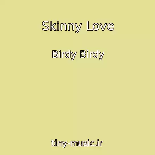 کاور آهنگ Skinny Love از Birdy Birdy
