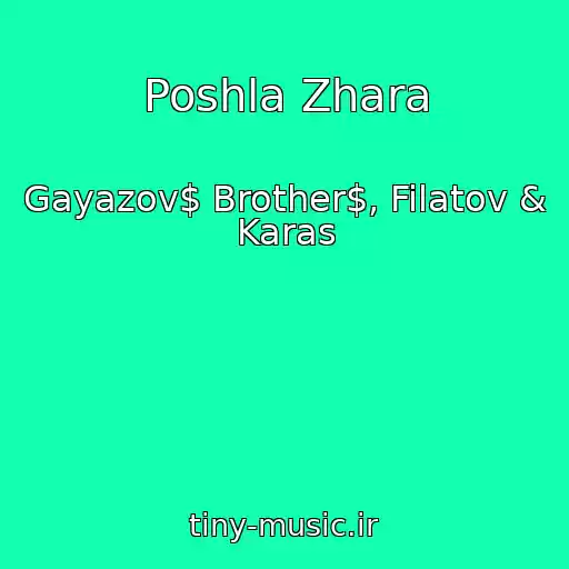 کاور آهنگ Poshla Zhara از Gayazov$ Brother$, Filatov & Karas