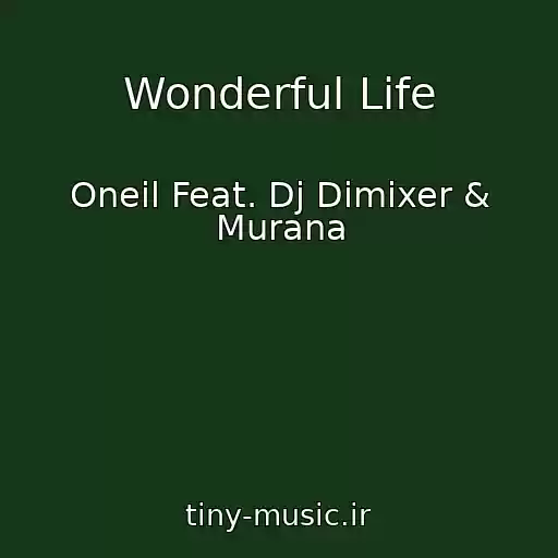 کاور آهنگ Wonderful Life از Oneil Feat. Dj Dimixer & Murana