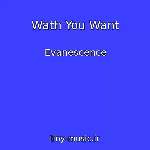 کاور آهنگ Wath You Want از Evanescence
