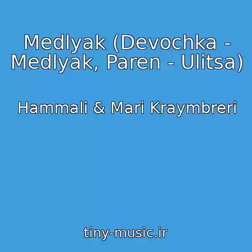 کاور آهنگ Medlyak (Devochka - Medlyak, Paren - Ulitsa) از Hammali & Mari Kraymbreri