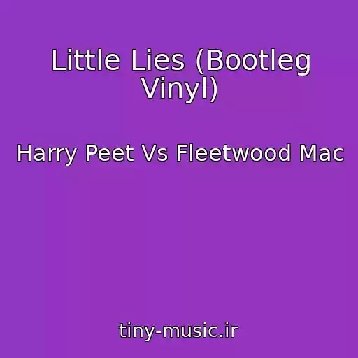 کاور آهنگ Little Lies (Bootleg Vinyl) از Harry Peet Vs Fleetwood Mac
