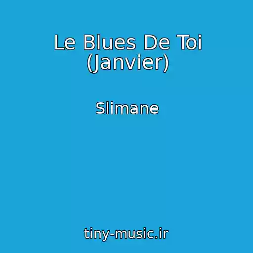 کاور آهنگ Le Blues De Toi (Janvier) از Slimane