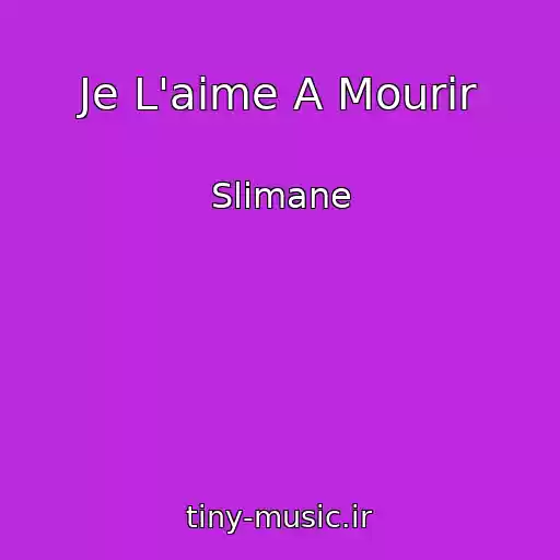 کاور آهنگ Je L'aime A Mourir از Slimane