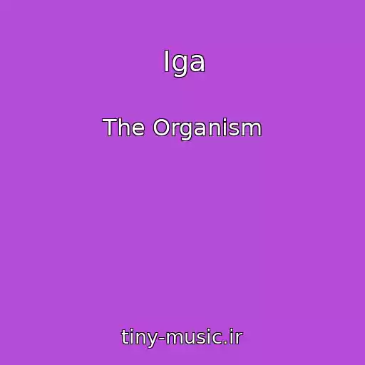 کاور آهنگ Iga از The Organism