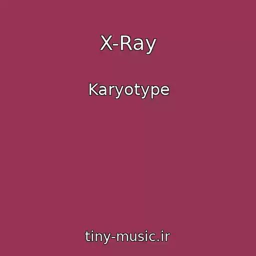 کاور آهنگ X-Ray از Karyotype