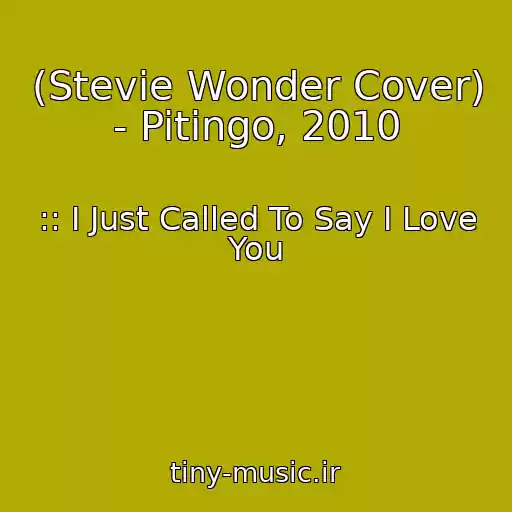 کاور آهنگ (Stevie Wonder Cover) - Pitingo, 2010 از :: I Just Called To Say I Love You