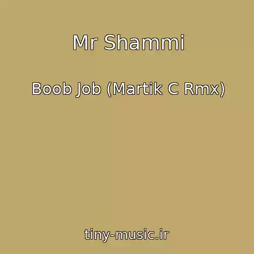 کاور آهنگ Mr Shammi از Boob Job (Martik C Rmx)