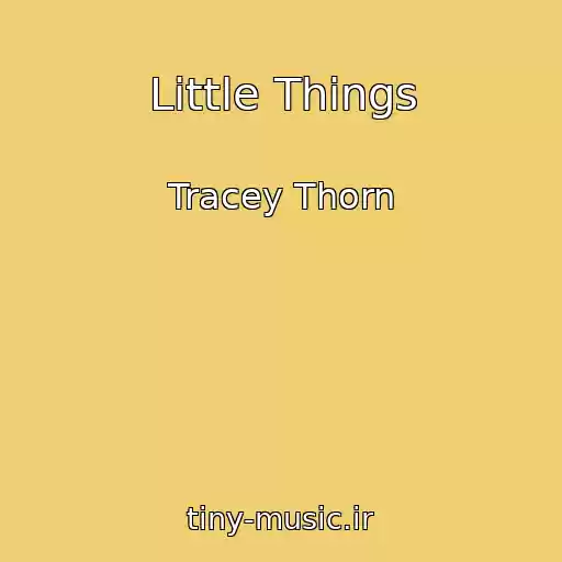 کاور آهنگ Little Things از Tracey Thorn