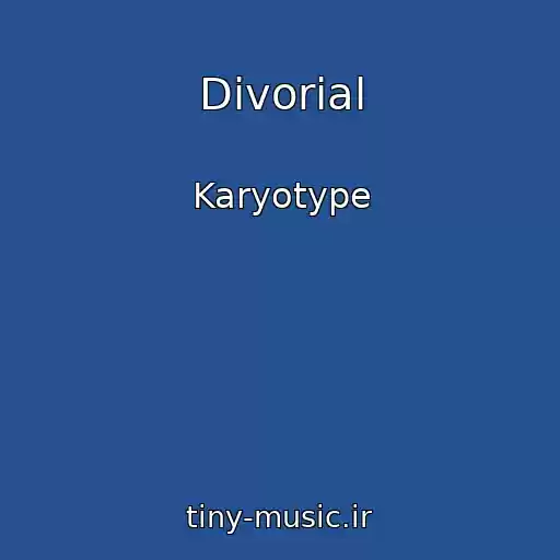 کاور آهنگ Divorial از Karyotype