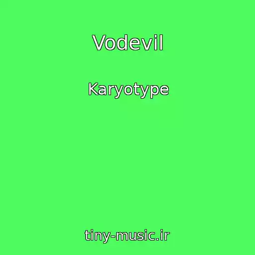 کاور آهنگ Vodevіl از Karyotype