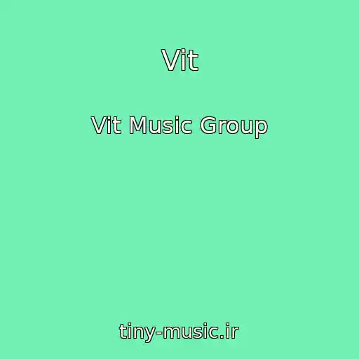 کاور آهنگ Vit از Vit Music Group