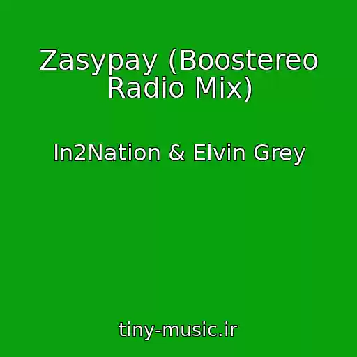 کاور آهنگ Zasypay (Boostereo Radio Mix) از In2Nation & Elvin Grey