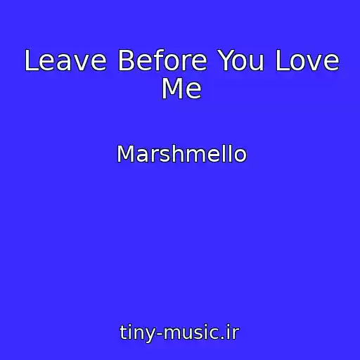 کاور آهنگ Leave Before You Love Me از Marshmello