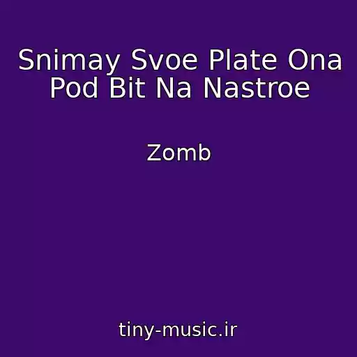 کاور آهنگ Snimay Svoe Plate Ona Pod Bit Na Nastroe از Zomb