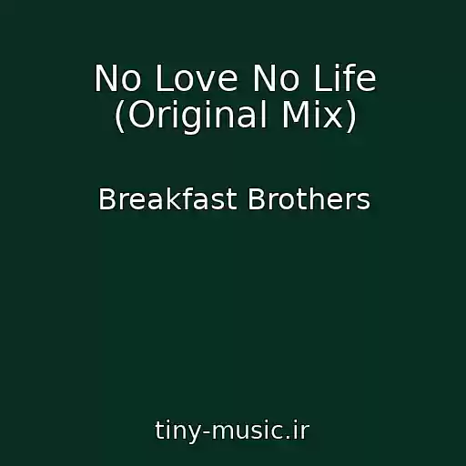 کاور آهنگ No Love No Life (Original Mix) از Breakfast Brothers