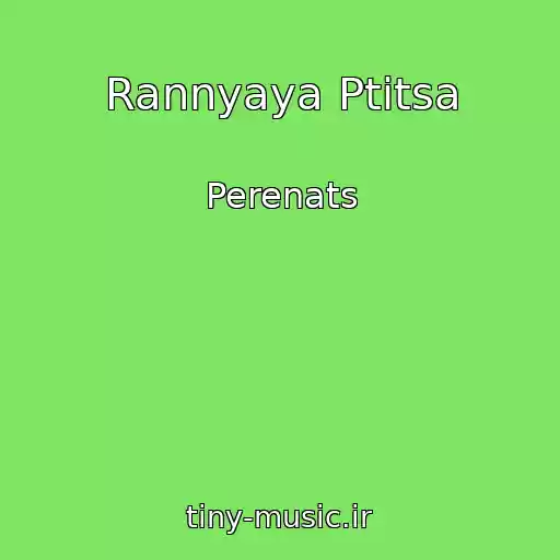 کاور آهنگ Rannyaya Ptitsa از Perenats