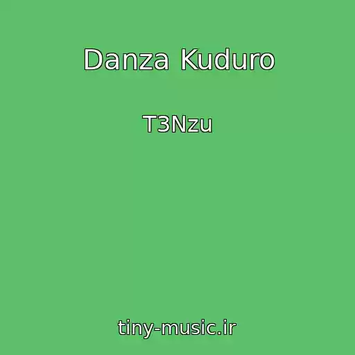 کاور آهنگ Danza Kuduro از T3Nzu