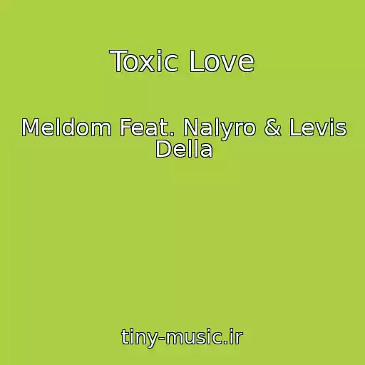 کاور آهنگ Toxic Love از Meldom Feat. Nalyro & Levis Della