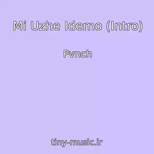 کاور آهنگ Mi Uzhe Іdemo (Intro) از Pvnch