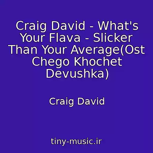 کاور آهنگ Craig David - What's Your Flava - Slicker Than Your Average(Ost Chego Khochet Devushka) از Craig David