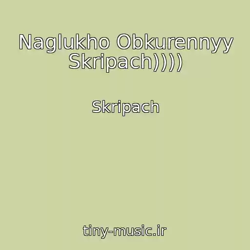 کاور آهنگ Naglukho Obkurennyy Skripach)))) از Skripach