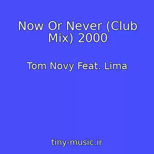 کاور آهنگ Now Or Never (Club Mix) 2000 از Tom Novy Feat. Lima