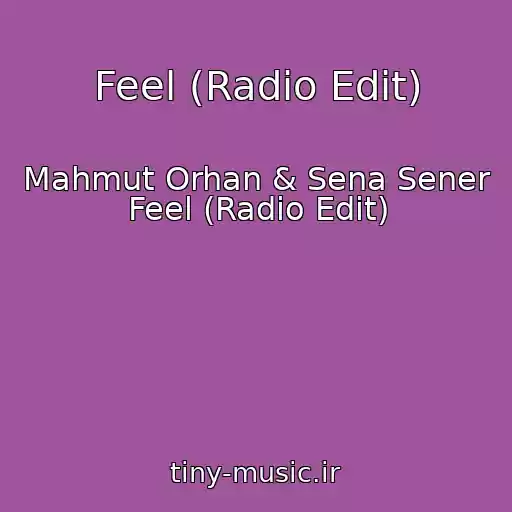 کاور آهنگ Feel (Radio Edit) از Mahmut Orhan & Sena Sener Feel (Radio Edit)