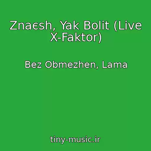 کاور آهنگ Znaєsh, Yak Bolit (Live X-Faktor) از Bez Obmezhen, Lama