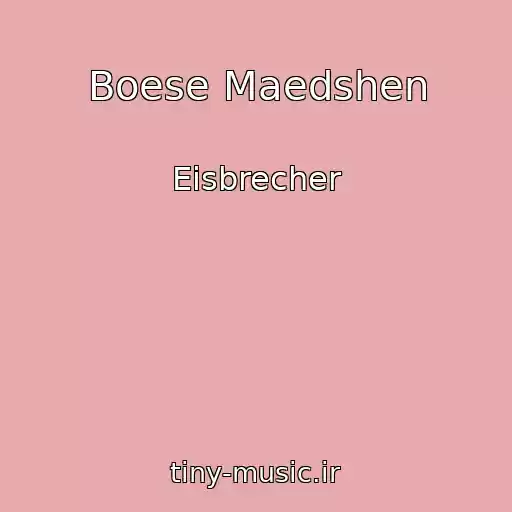 کاور آهنگ Boese Maedshen از Eisbrecher