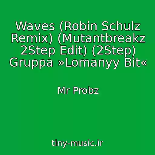 کاور آهنگ Waves (Robin Schulz Remix) (Mutantbreakz 2Step Edit) (2Step) Gruppa »Lomanyy Bit« از Mr Probz