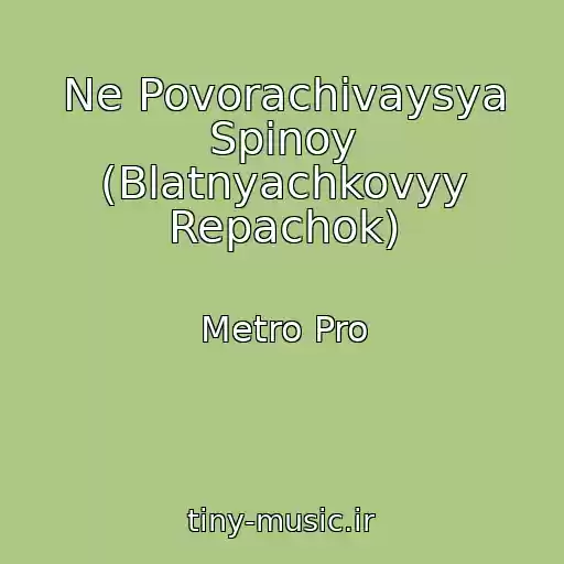کاور آهنگ Ne Povorachivaysya Spinoy (Blatnyachkovyy Repachok) از Metro Pro
