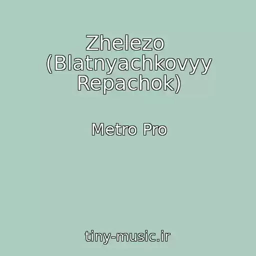 کاور آهنگ Zhelezo  (Blatnyachkovyy Repachok) از Metro Pro