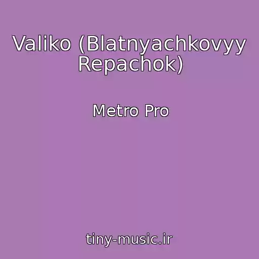 کاور آهنگ Valiko (Blatnyachkovyy Repachok) از Metro Pro