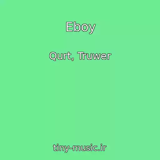 کاور آهنگ Eboy از Qurt, Truwer