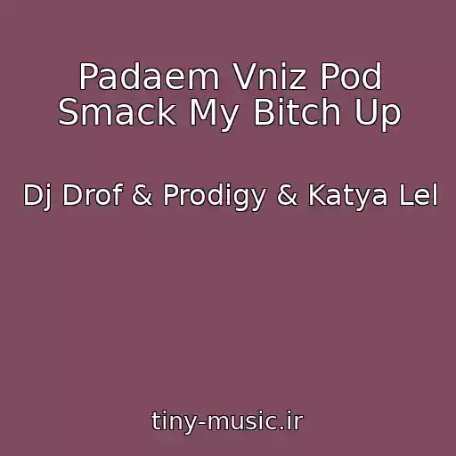 کاور آهنگ Padaem Vniz Pod Smack My Bitch Up از Dj Drof & Prodigy & Katya Lel