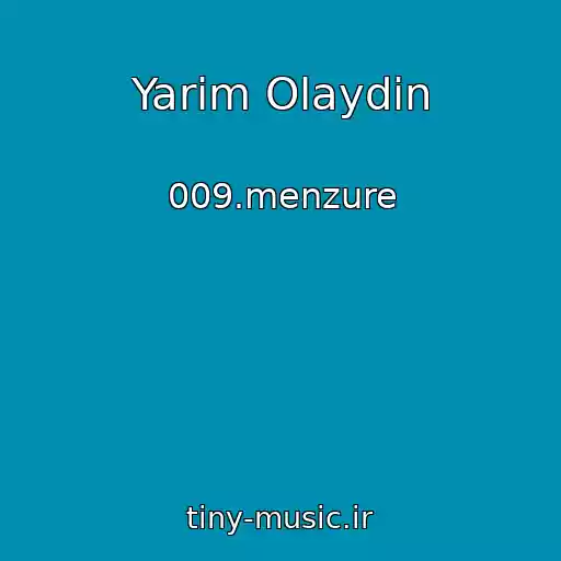 کاور آهنگ Yarim Olaydin از 009.menzure
