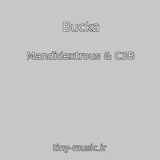کاور آهنگ Bucka از Mandidextrous & C3B