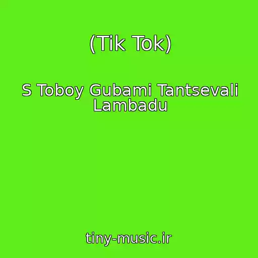 کاور آهنگ (Tik Tok) از S Toboy Gubami Tantsevali Lambadu