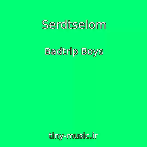 کاور آهنگ Serdtselom از Badtrip Boys
