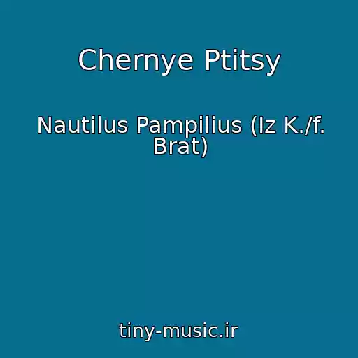 کاور آهنگ Chernye Ptitsy از Nautilus Pampilius (Iz K./f. Brat)