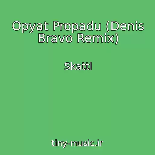 کاور آهنگ Opyat Propadu (Denis Bravo Remix) از Skattl