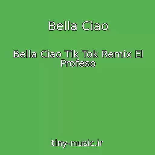 کاور آهنگ Bella Ciao از Bella Ciao Tik Tok Remix El Profeso