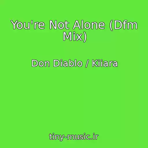 کاور آهنگ You're Not Alone (Dfm Mix) از Don Diablo / Kiiara