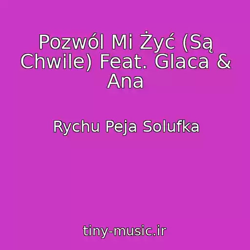 کاور آهنگ Pozwól Mi Żyć (Są Chwile) Feat. Glaca & Ana از Rychu Peja Solufka