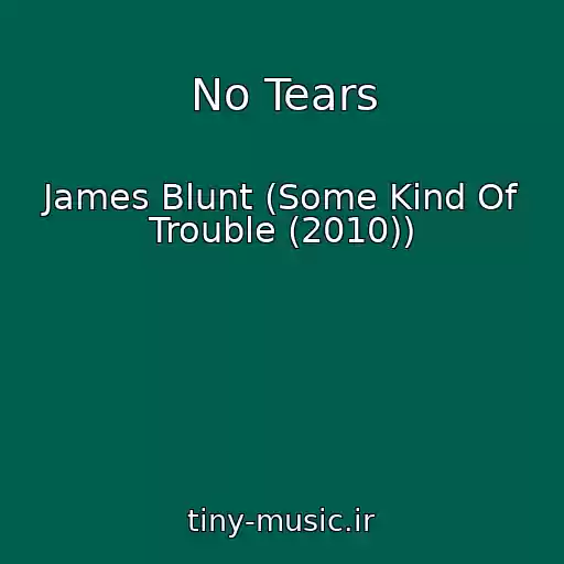 کاور آهنگ No Tears از James Blunt (Some Kind Of Trouble (2010))